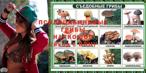 трава Аркадак
